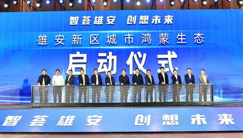 雄安新區(qū)舉辦2023軟件和信息技術服務業(yè)創(chuàng)新發(fā)展論壇，聚焦信息技術咨詢服務